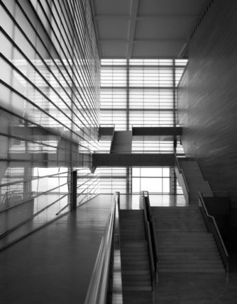 MONEO